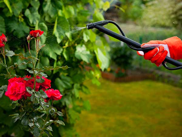 trattamenti-parassitari